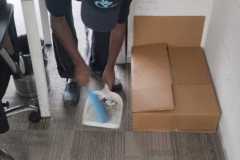 Carpet-Cleaning